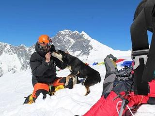 尼泊尔一流浪狗跟着登山队成功挑战7000米高峰